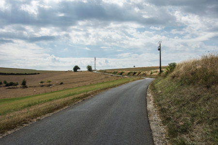 Country road on a cloudy day in the countryside of Emilia Romagnaの写真素材