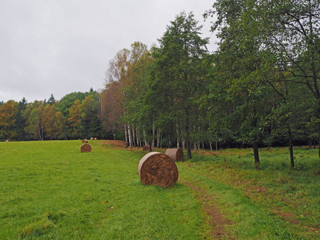 straw bales on the autumn green meadow and colorful treesの写真素材