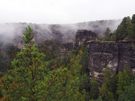 sandstone pillars in national park czech switzerland in foggy autumn with pine tree forestの写真素材