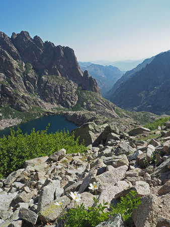 scenery of high mountains with blue lake, green bushes and white mountain flowers on a blue sky backgroundの写真素材