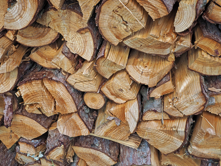 chopped wood backgroundの写真素材