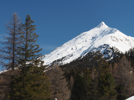 Alpine mountain view in europe winter snow with spruce treesの写真素材