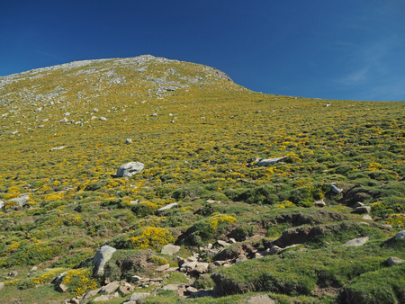 green mountain meadow with rocks and blue skyの写真素材