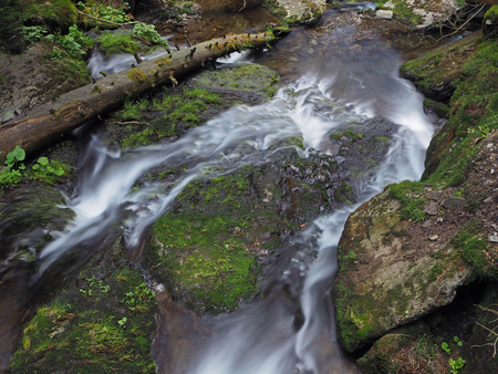 frozen water forest stream with a log and mossed stones and grassの写真素材