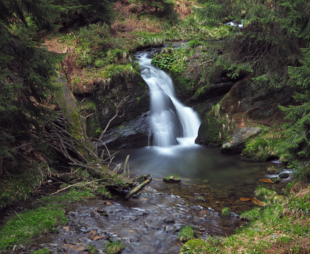 forest waterfall in jeseniky mountain on bila opava riverの写真素材