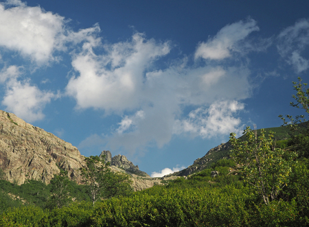 mountain scenery green valley with alder scrub and birches and white clouds and blue skyの写真素材