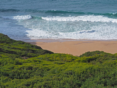 blue sea waves on a sand beach with fresh green vegetationの写真素材