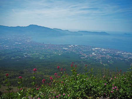 view on Naples bay from Vesuvius saddle with pink blooming flowersの写真素材