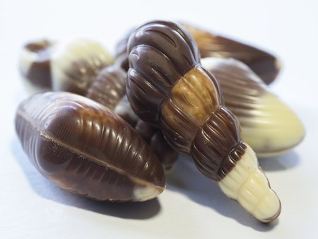 group of macro close up chocholate nougat sea fruit shell on white backgroundの写真素材