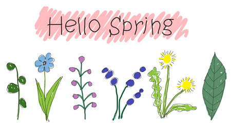 Cute doodle flower with handwritten sign hello spring, dandelion, green leaves color blooming plants hand dawn vector illustrationのイラスト素材