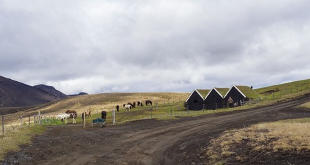 Icelandic traditional turf roof houses, group of icelandic horses and two farmer workers on dirt road, Southern Icelandのeditorial素材
