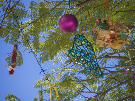 Summer Christmas trees. Tropical palm trees decorated with colourful ornaments and decorations for the holidays. Pink baubles and gift box, Tenerife, Canary Islandの写真素材