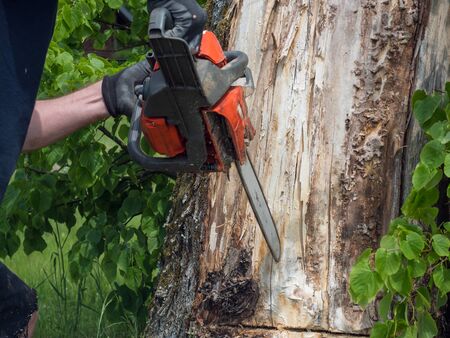 Chainsaw. Close-up of adult man with woodcutter sawing chain saw in motion, sawdust fly to sides....