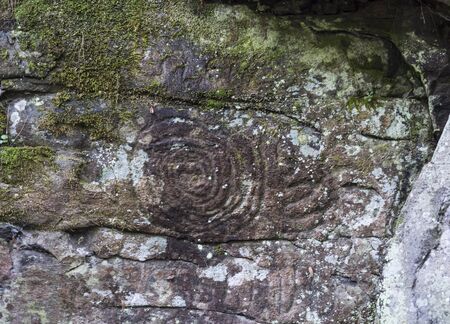 Spiral petroglyph carved in stone in La Zarza nature park archeological site in Laurel forest,...