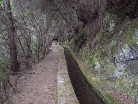 Path along levada, water duct at mysterious Laurel forest Laurisilva, lush subtropical rainforest at...