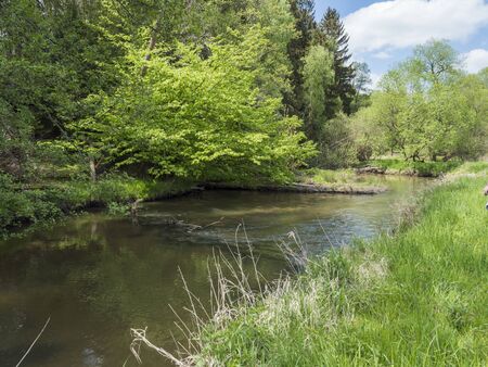 idyllic landscape of winding river stream meander at lush green meadow with deciduous tree forest, blue sky backgound. Late spring sunny afternoon, vibrant colorsの写真素材