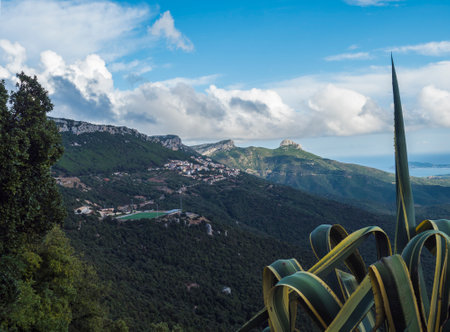 Aerial View of green soccer field at Baunei village in beautiful landscape of Supramonte mountains with limestone rocks, Arbatax penisula, mediterranean sea Caribbean agave plant, Sardinia, Italyの写真素材
