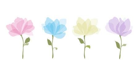 Set of colorful watercolour transparent colours style vector illustration of rose flowers with large petals and green leaves on a white background. Botanical romantic design elementのイラスト素材