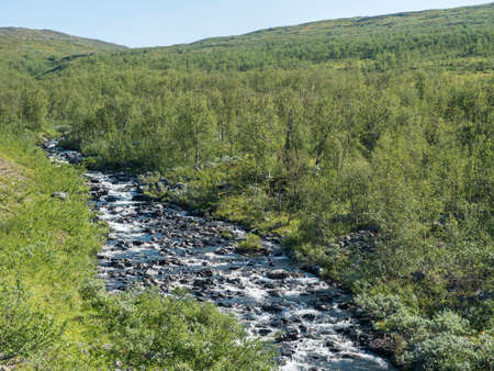 Northern landscape in Swedish Lapland with blue rapid stream of creek, green hills and birch tree...