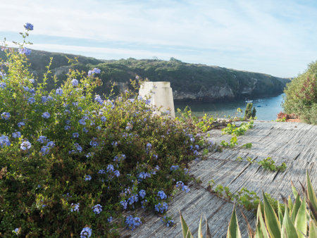 View over rooftop of white traditional house with blooming blue flowers and romantic view of calm sea bay in the backlight. Porto Covo, Portugalの写真素材