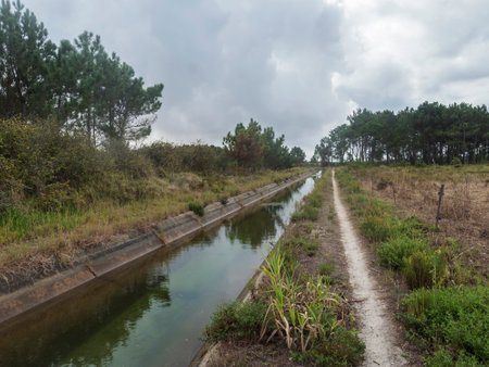 Footpath of hiking trail Rota Vicentina along water irrigation canal. Pine trees and green bushesの写真素材