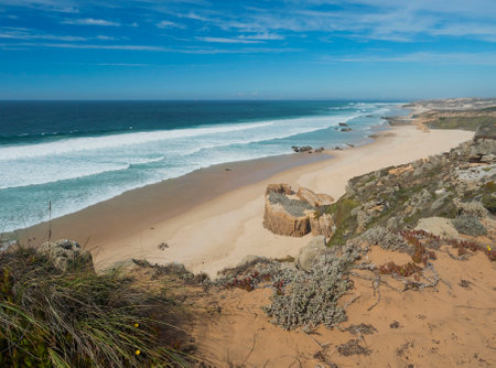 View of Praia dos Aivados sand beach with ocean waves and sharp rock and green vegetation at wild Rota Vicentina coast near Porto Covo, Portugal.の写真素材