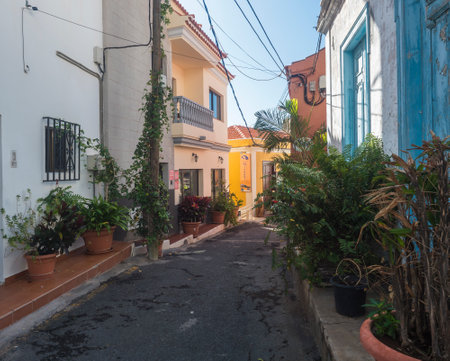 La Calera, Valle Gran Rey, La Gomera, Canary Islands, Spain. december 30, 2021: sreet at village La Calera. Clolorful houses, flowers and palm trees.のeditorial素材