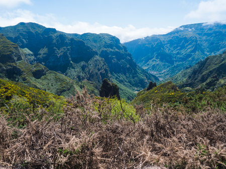 View of green hills, mountain landscape in clouds at blue sky. and lush vegetation at hiking trail PR12 to Pico Grande one of the highest peaks in the Madeira, Portugalの写真素材