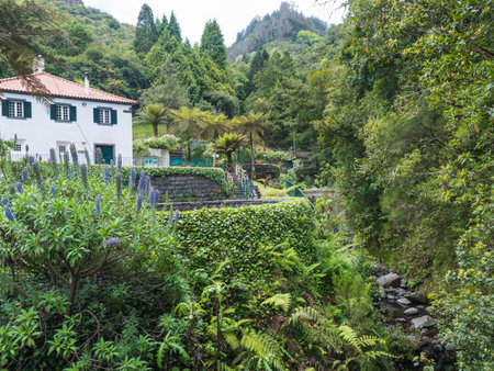 Ribeiro Frio, Madeira, Portugal, May 23, 2022: Trout fish farm in the lush green foliage of the sub tropical volcanic mountain rainforest. Wet misty rainy day outdoors.のeditorial素材
