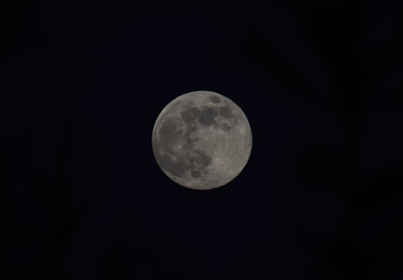The full moon at night
