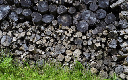 old sawn logs stacked in a heap