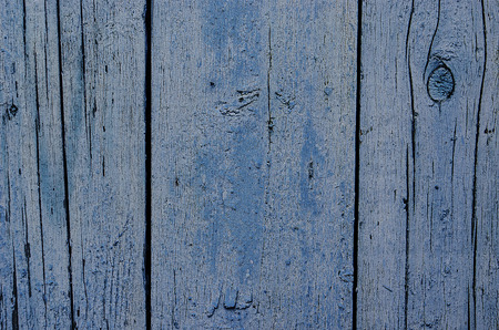 old tree texture of blue colorの写真素材