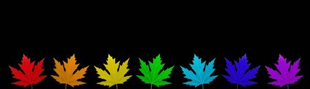 isolated leaves of rainbow colors 5の写真素材