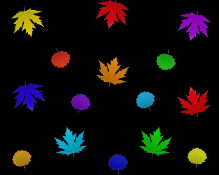 isolated leaves of rainbow colors 9の写真素材