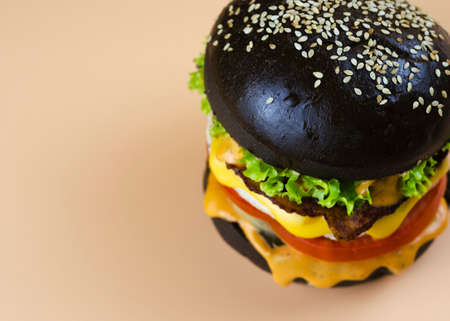 chicken burger in a black bun 4の写真素材