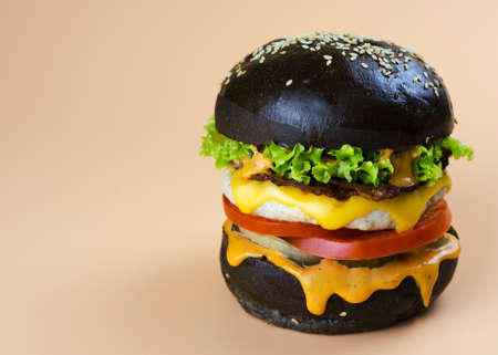 chicken burger in a black bun 3の写真素材
