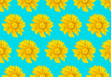 dandelion flower pattern on blue background
