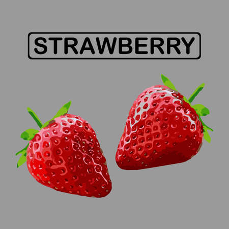 Strawberries on a gray background. Vectorのイラスト素材