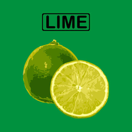 Lime on a green background. vectorのイラスト素材