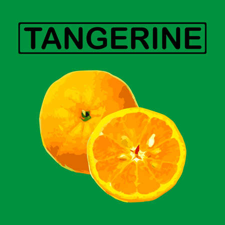 Tangerine on a green background. vectorのイラスト素材