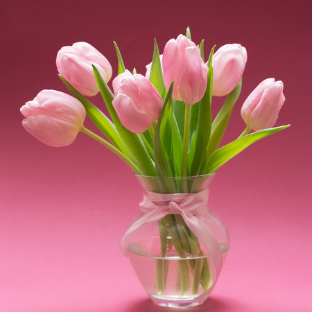Bouquet of pink tulips in vase on pink backgroundの写真素材