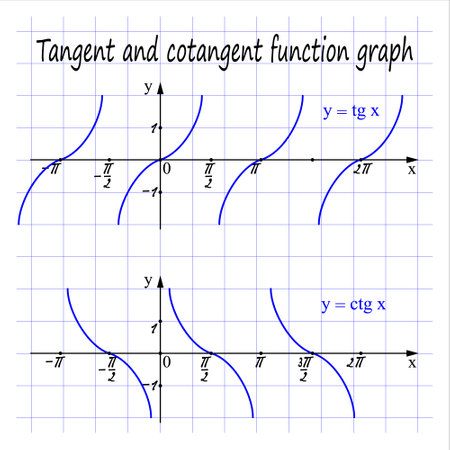 Tangent and cotangent function graph. vector illustrationのイラスト素材