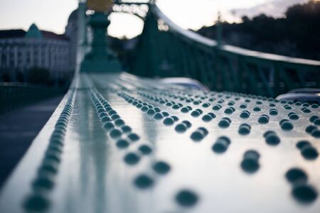 Nineteenth Century Old Metalic Green Freedom European Bridge in Budapestの写真素材
