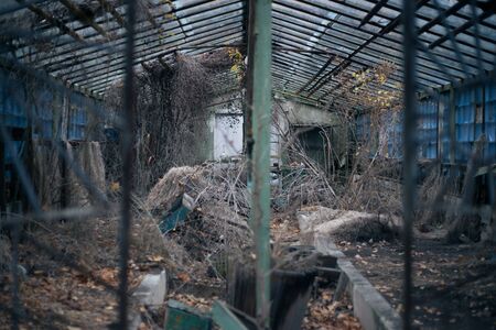 Old ruined house in Pripyat in Chernobylの写真素材