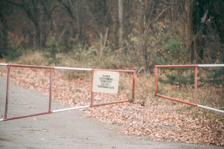 Autumn forest in Pripyat in Chernobylの写真素材