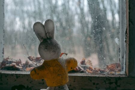 Soft toy doll in an abandoned school in Pripyat in Chernobylの写真素材