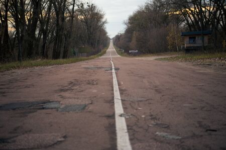 The road in the forest in Pripyat in Chernobylの写真素材