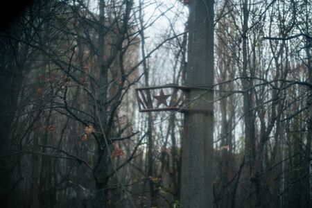 Autumn forest in Pripyat in Chernobylの写真素材