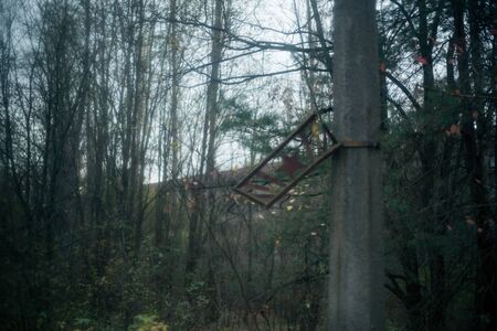 Autumn forest in Pripyat in Chernobylの写真素材