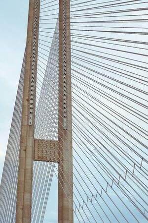 Cable-stayed bridge with road and cars
